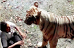 Delhi tiger attack victim’s pregnant wife seeks Rs.50-lakh aid from govt